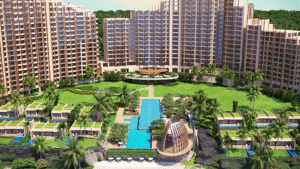 copy of vlcsnap 2021 12 16 16h39m43s428 copy